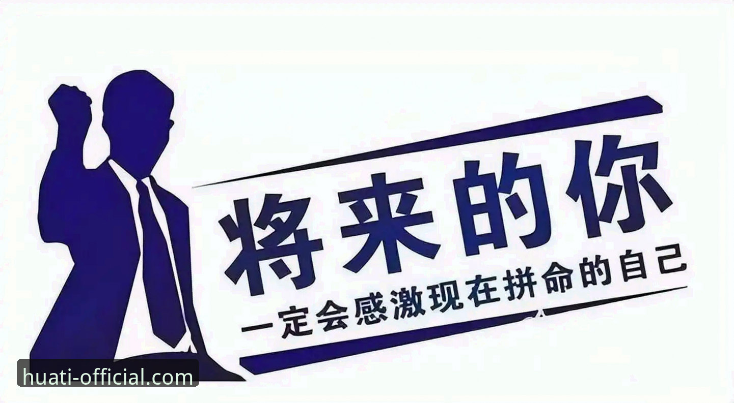 华体育使用体验详解：从下载到实战的完整指南